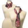 Novelty Scarves - Patriotic - Image 4